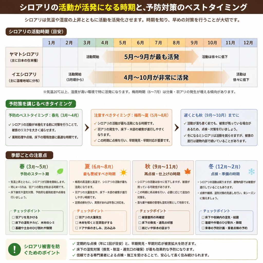 最適なシロアリ予防の時期